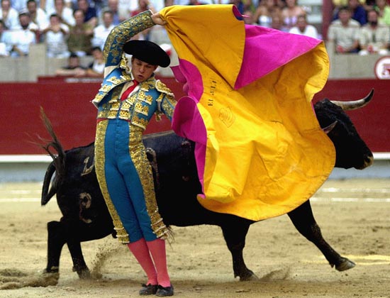 Bull Fighter