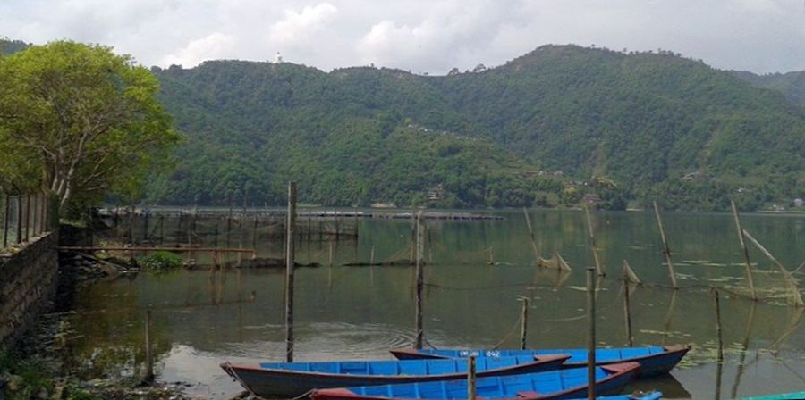 Boats at Phewa Tal in Pokhara