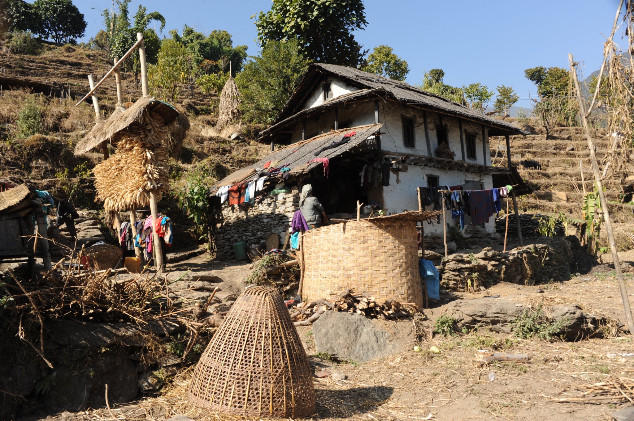 Farm in Bung