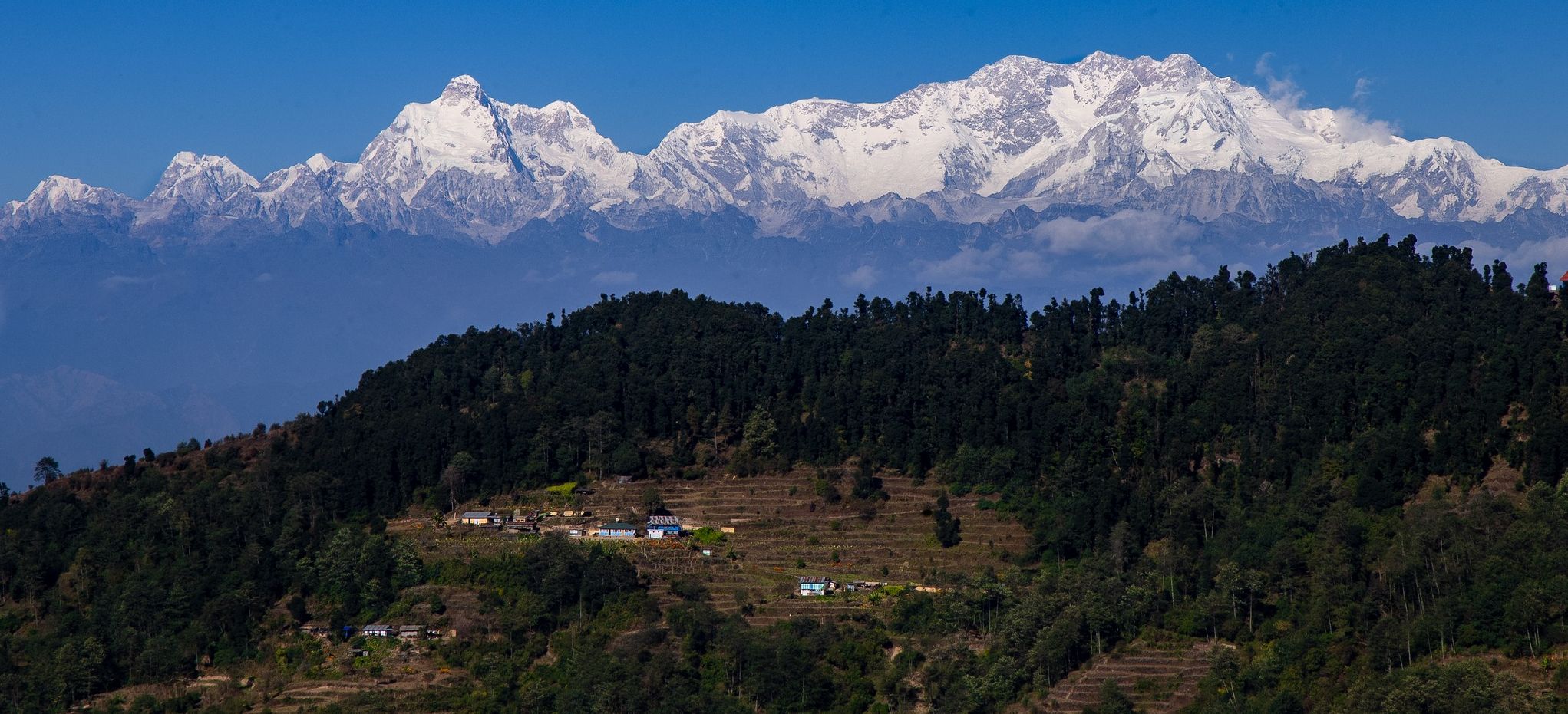 Kangchenjunga and Jannu at trek start