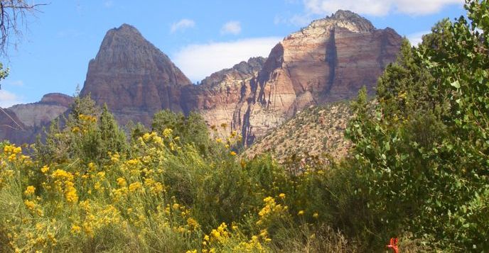 Zion National Park, Utah, USA