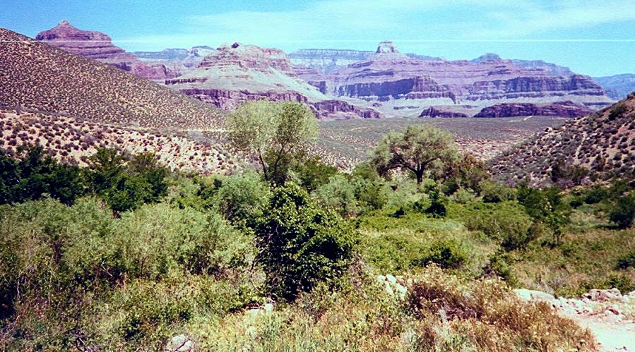 Bright Angel Trail from the South Rim of the Grand Canyon