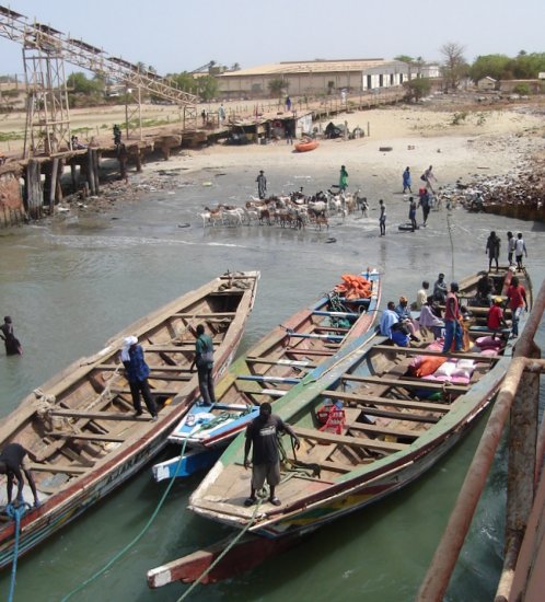 Pirogues loading at Barra