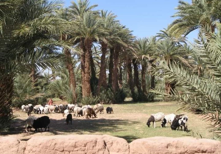 Draa River Valley on route to Zagora in sub-sahara Morocco