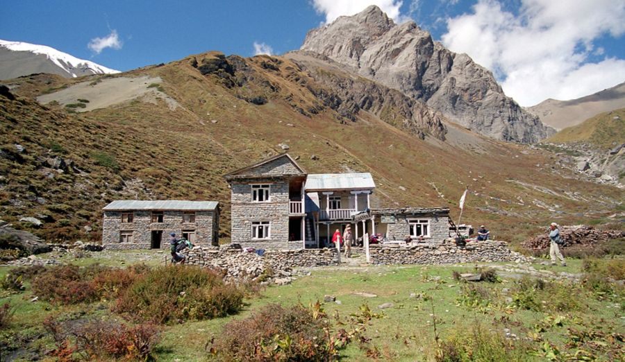 Tilicho Base Camp Lodge