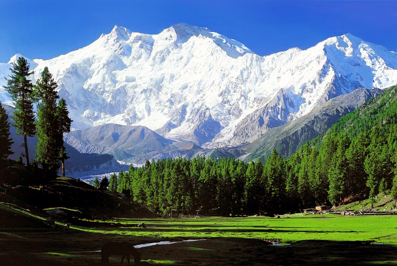 Nanga Parbat Rupal Face