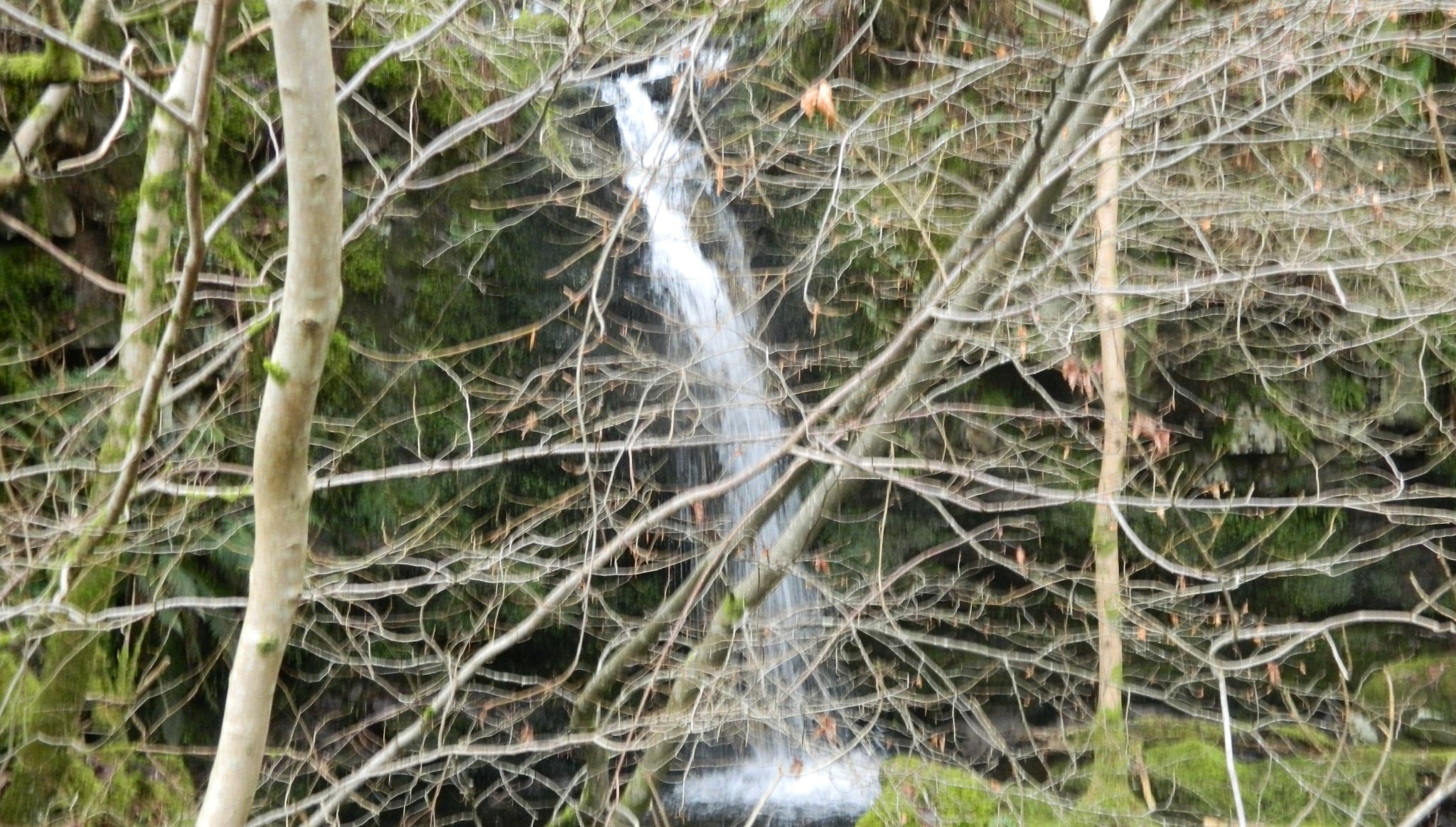 Aldessan Burn above Campsie Glen in the Campsie Fells