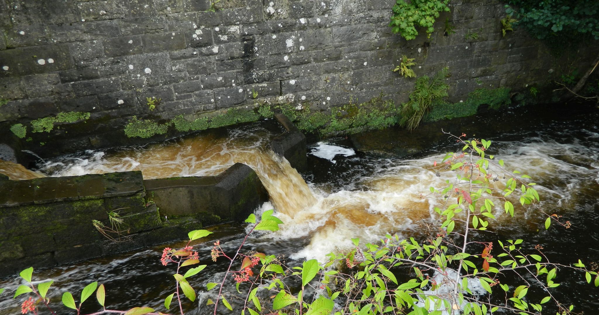 Salmon ladder on Allander River in Milngavie