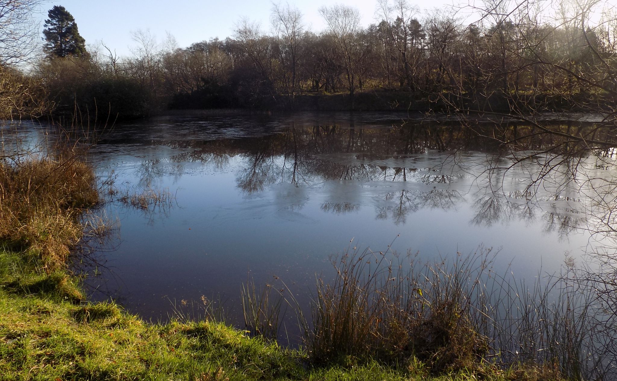 Allenshaw Dam