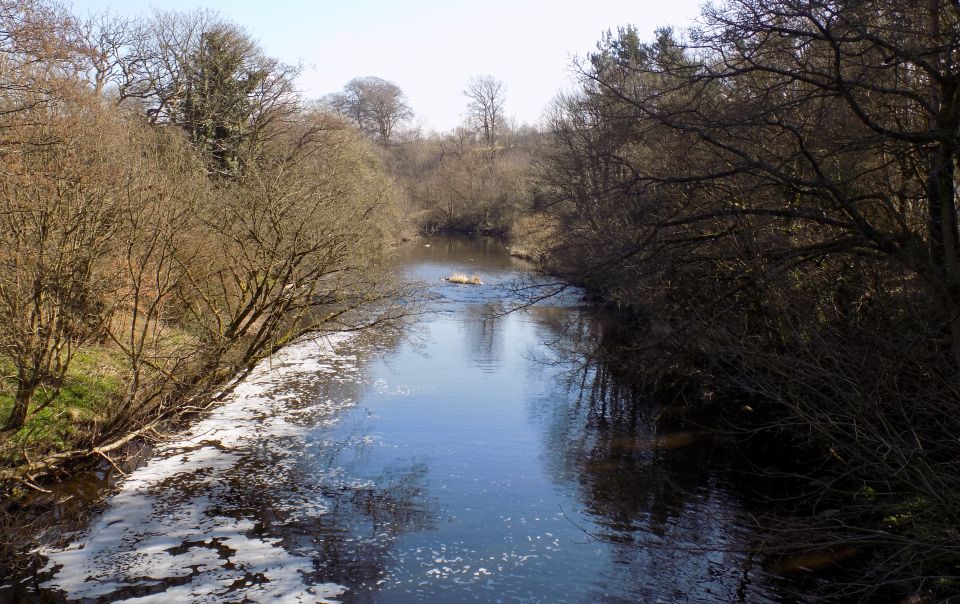 Almond River in Almondell Country Park