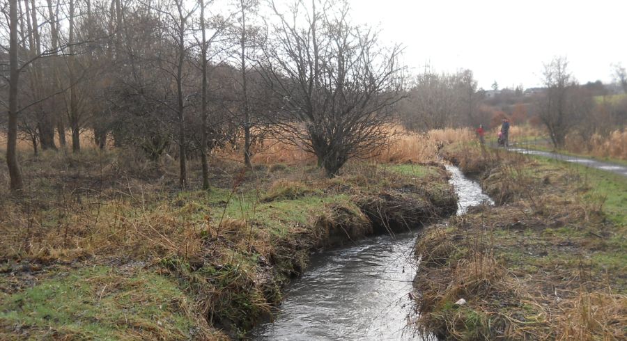 Burn through the Craigdhu Wedge