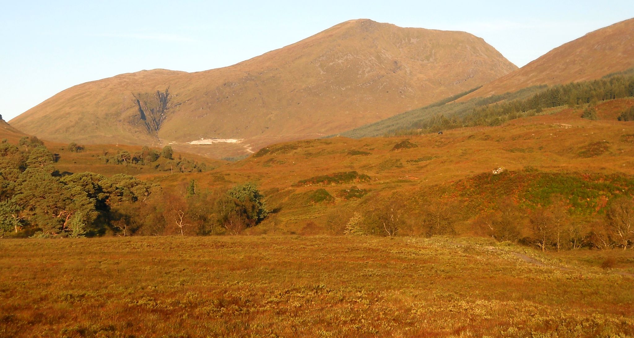 Beinn Chuirn ( 2887ft, 880m - a Corbett ) from River Cononish