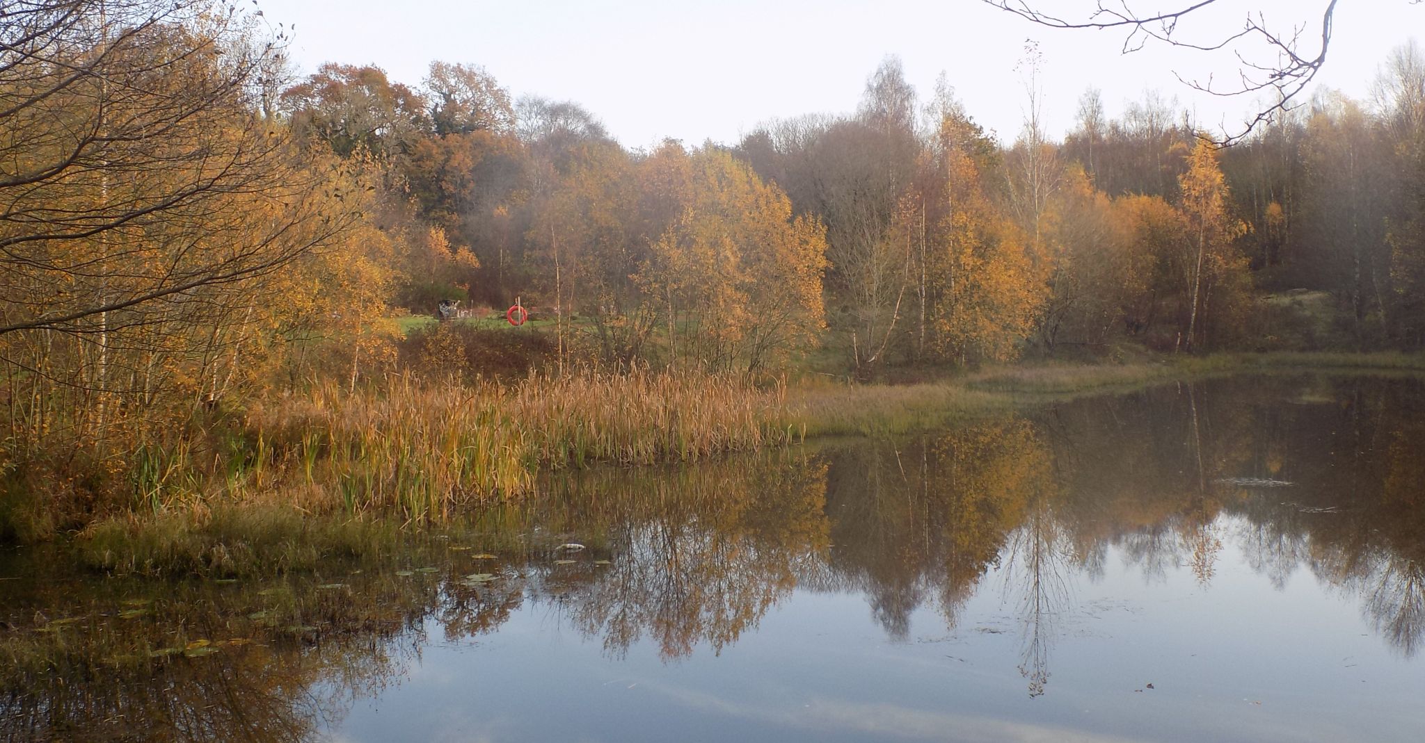 The Pond at Redlees Urban Park near Newton