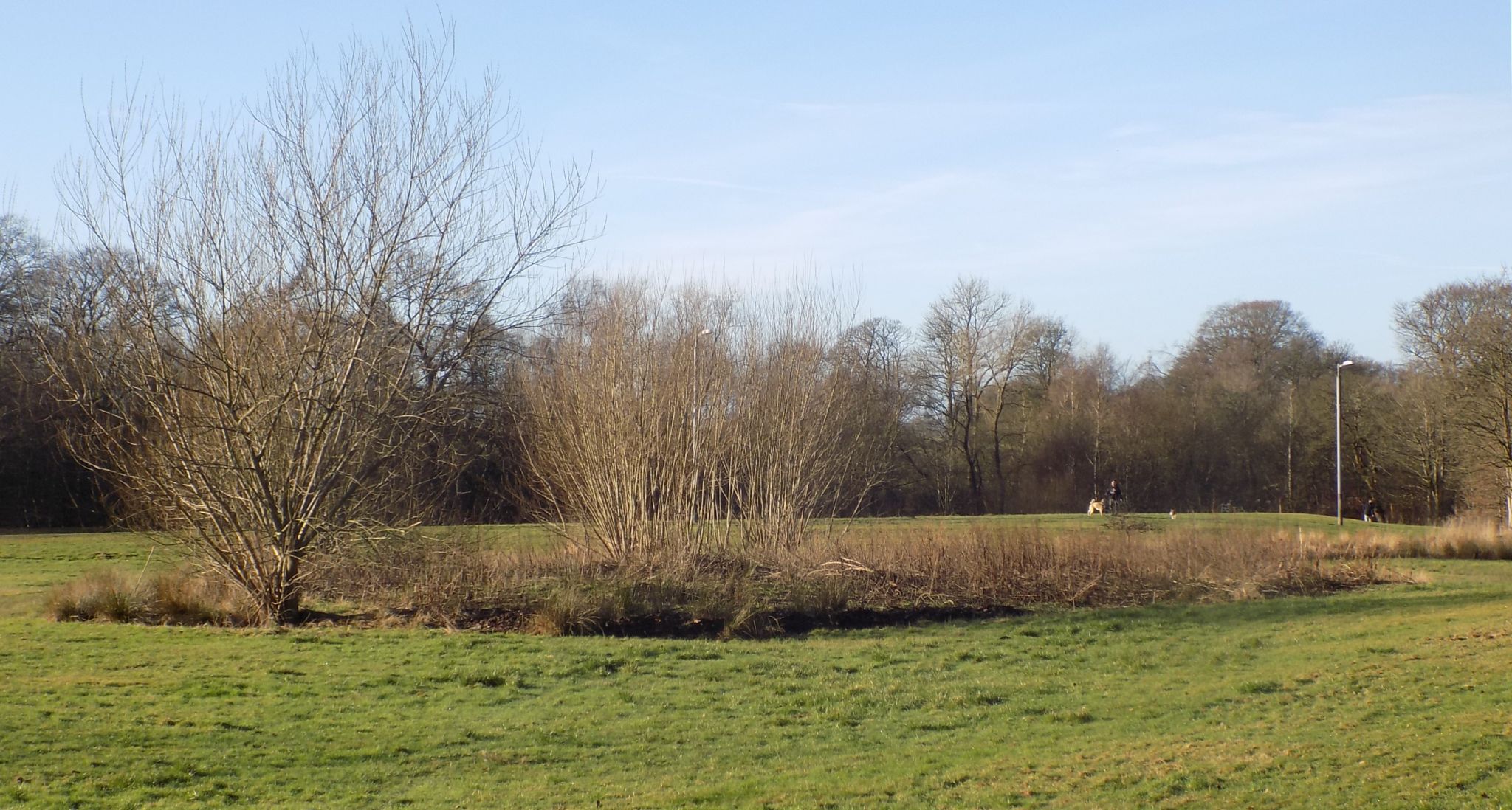 Park in Twechar