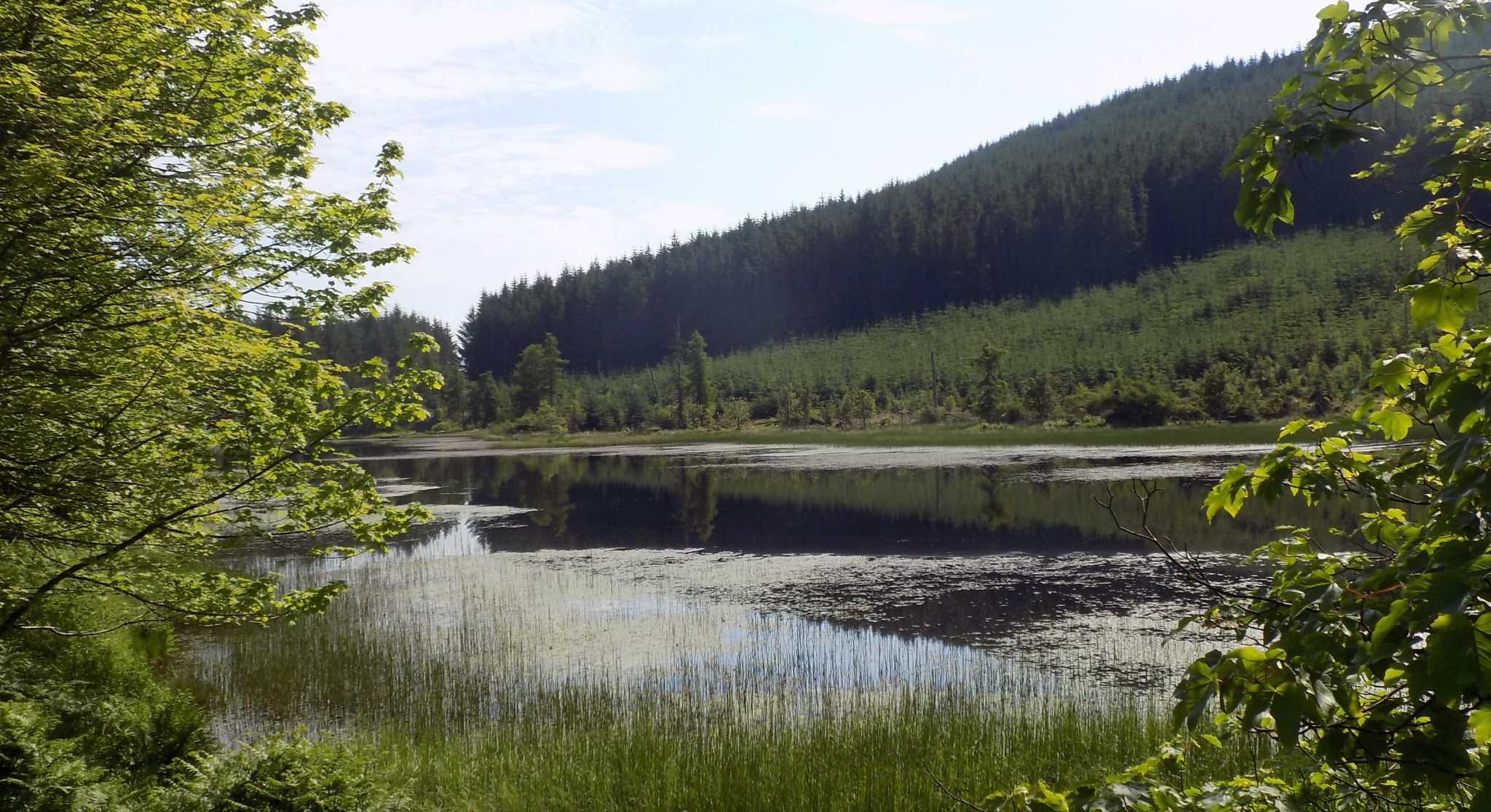 Lochan Allt a'Chip Dhuibh on the Rob Roy Way