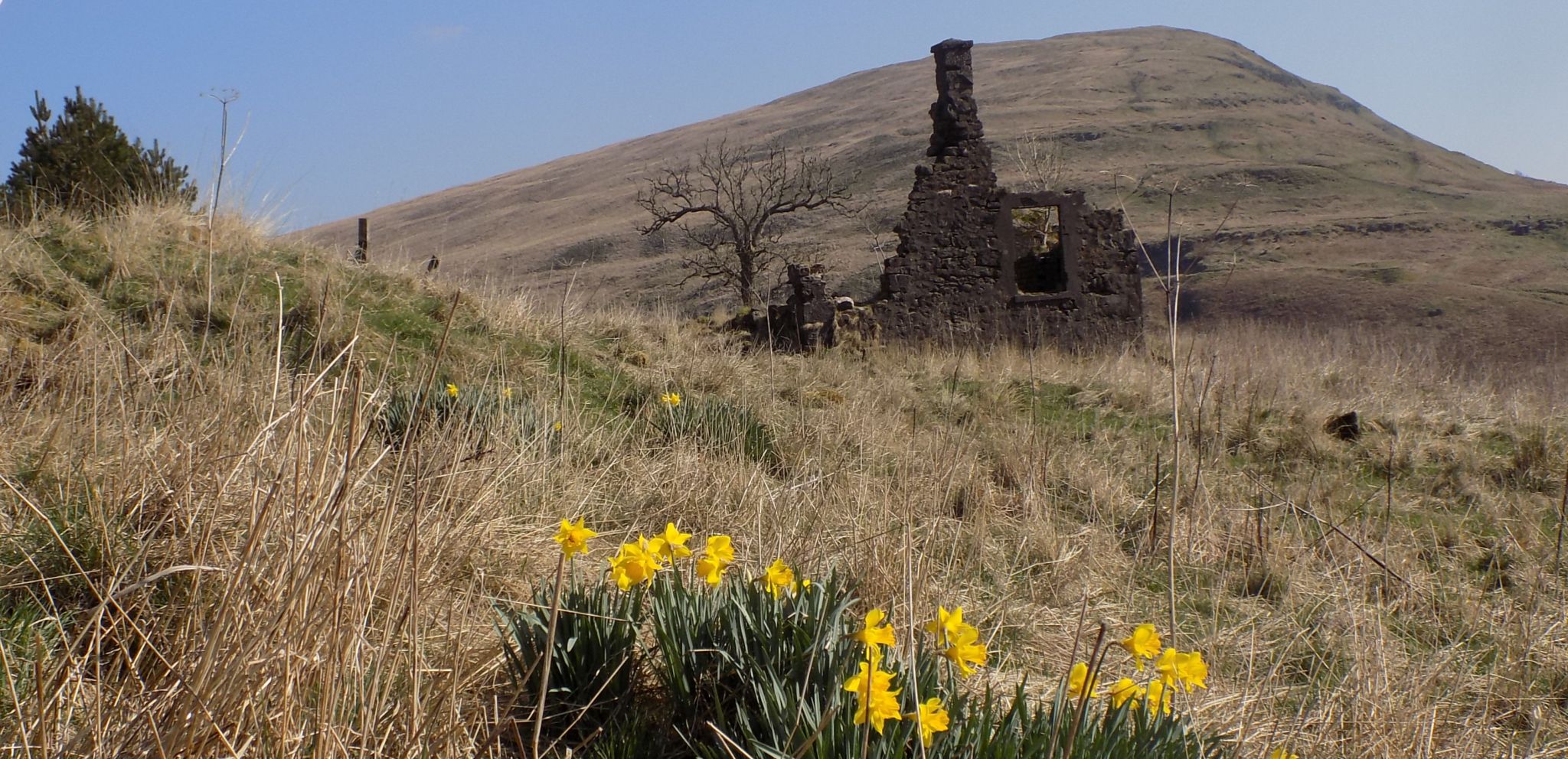 Kirk Burn in Campsie Glen