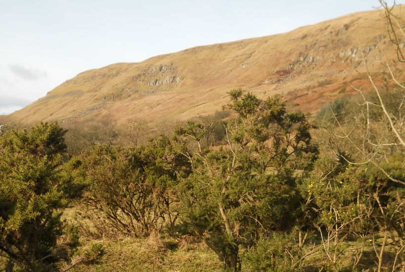 The Campsie Fells on ascent to Cort-ma Law