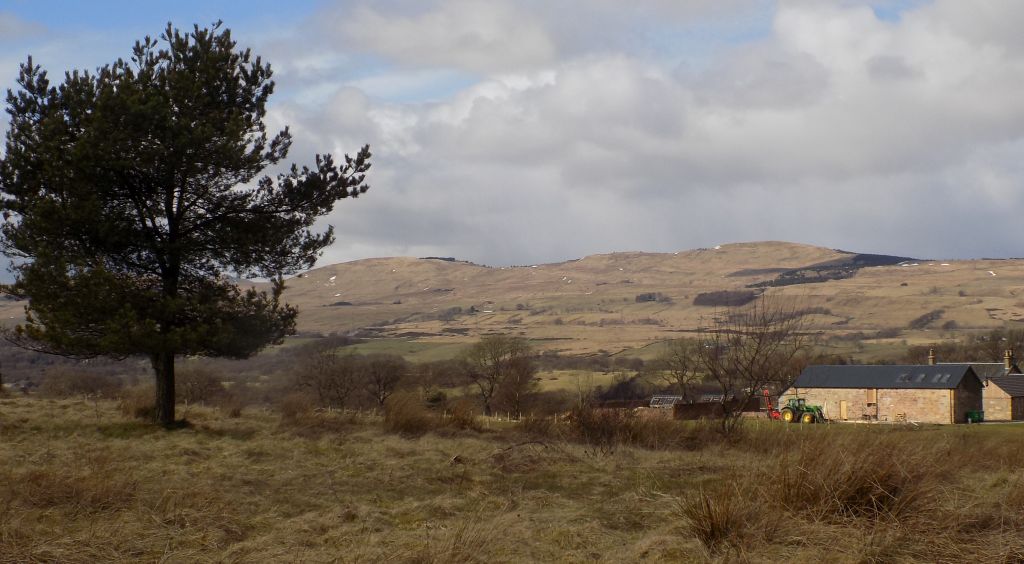 Kilsyth Hills from site of Westerwood Fort on the Antonine Wall