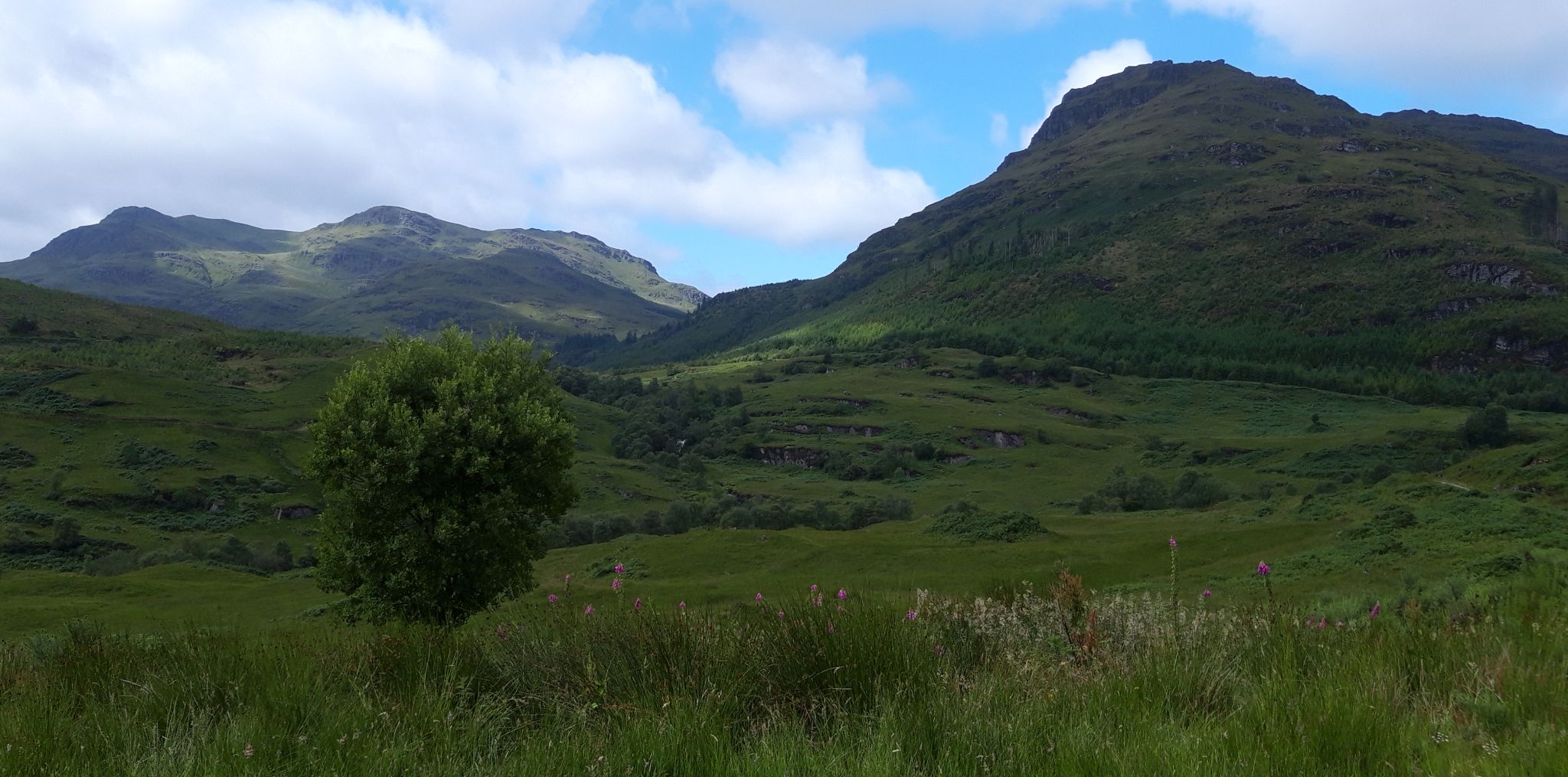 Beinn Bheula and Beinn Lochain from the Cowal Way