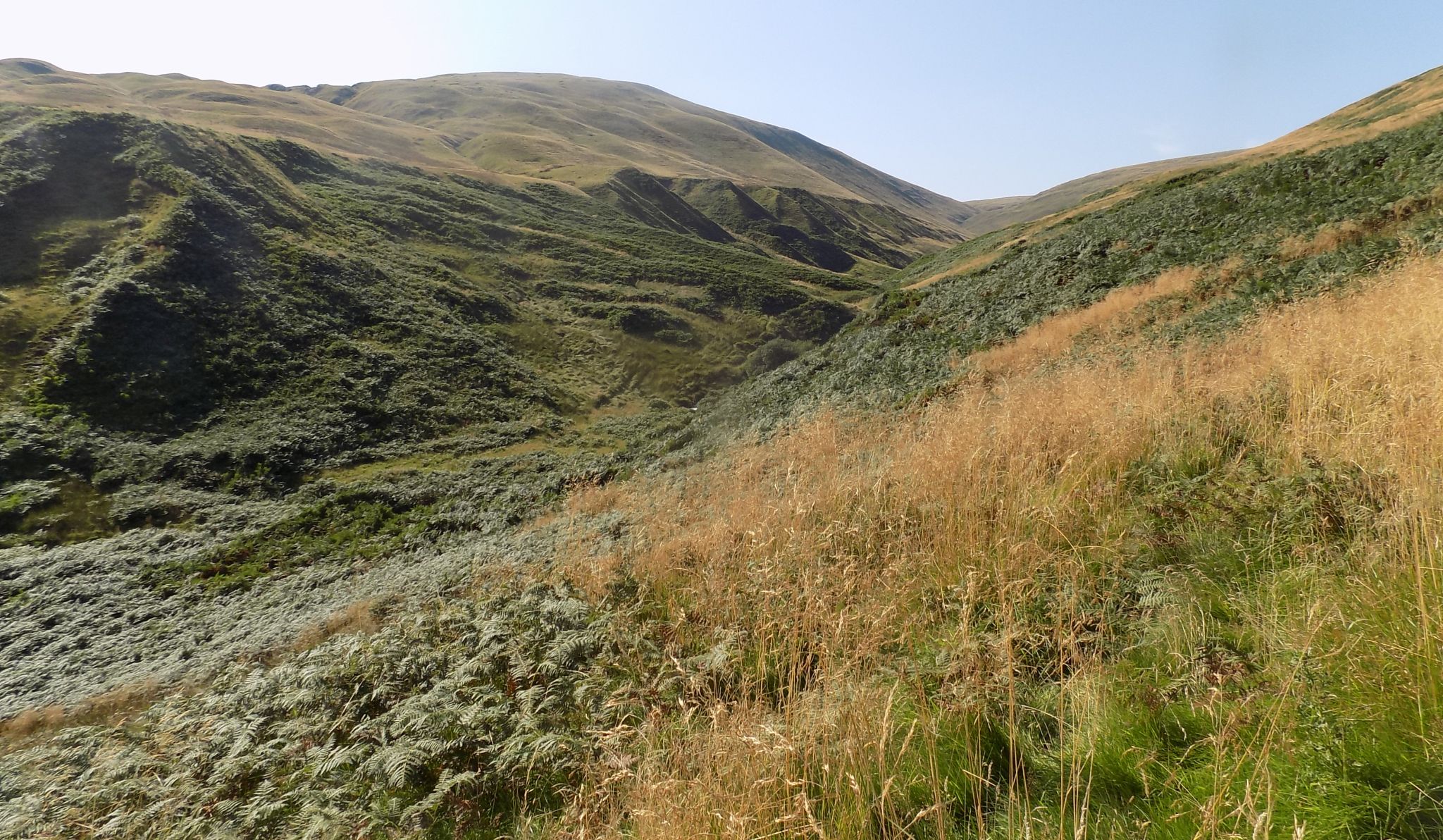 King's Seat Hill above Burn of Sorrow