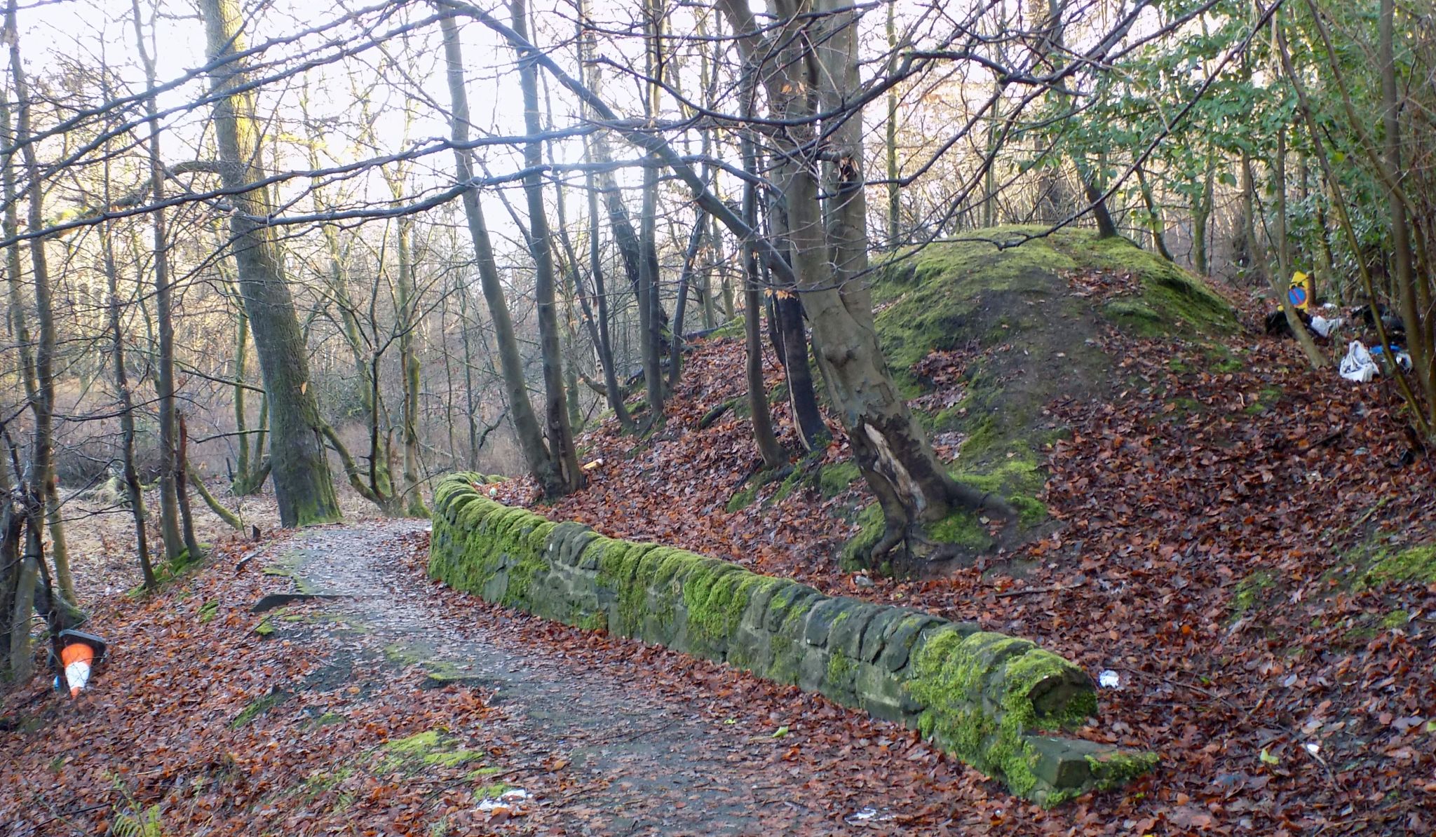 Old Wall on Garscadden Burn Park trail