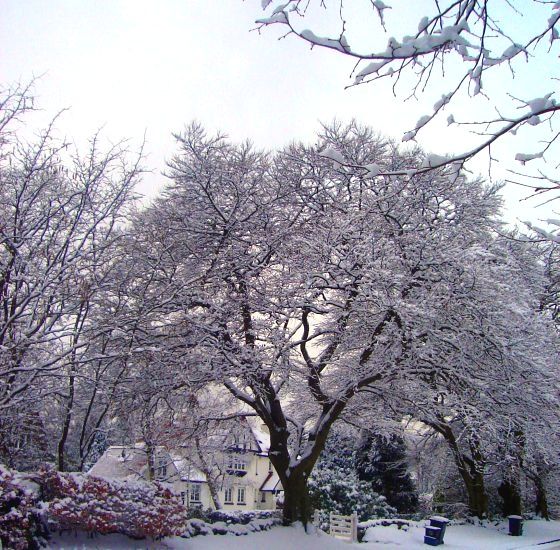 Ralston Road in winter