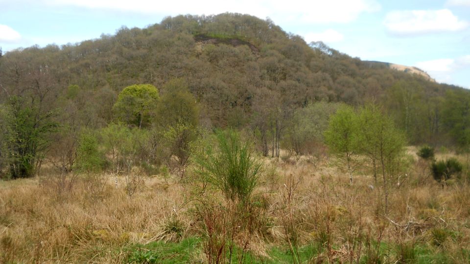 Doon Hill from Easter Park