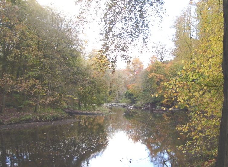 White Cart River from Silver Bridge at Linn Park