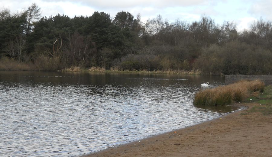 Island and Sandy Beach at Hogganfield Loch