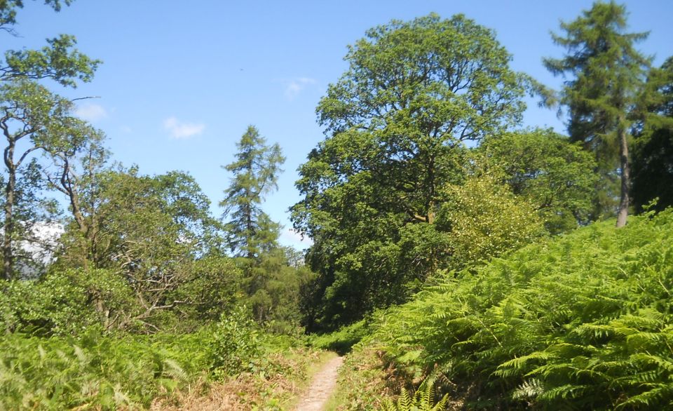 West Highland Way along Loch Lomond