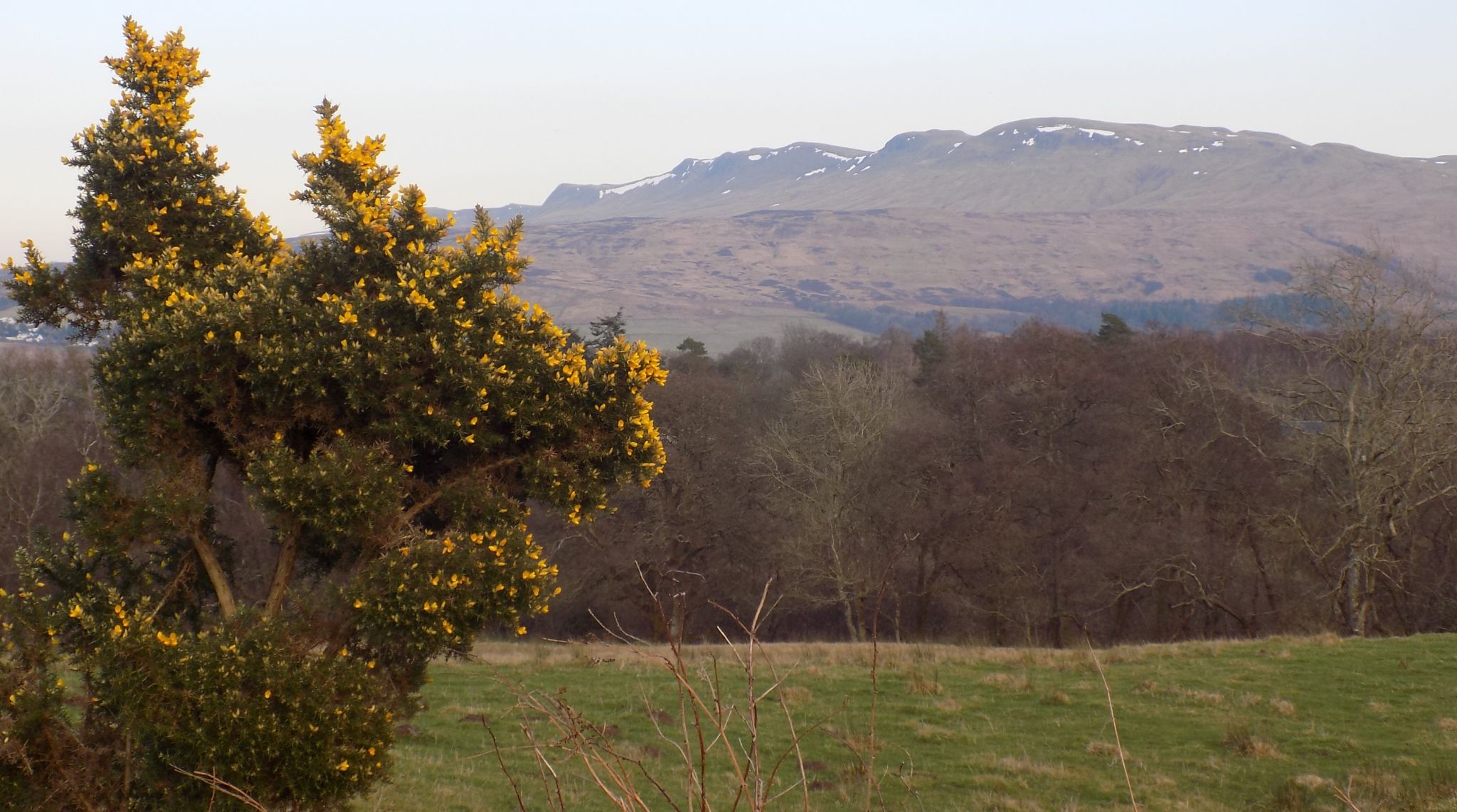 Campsie Fells