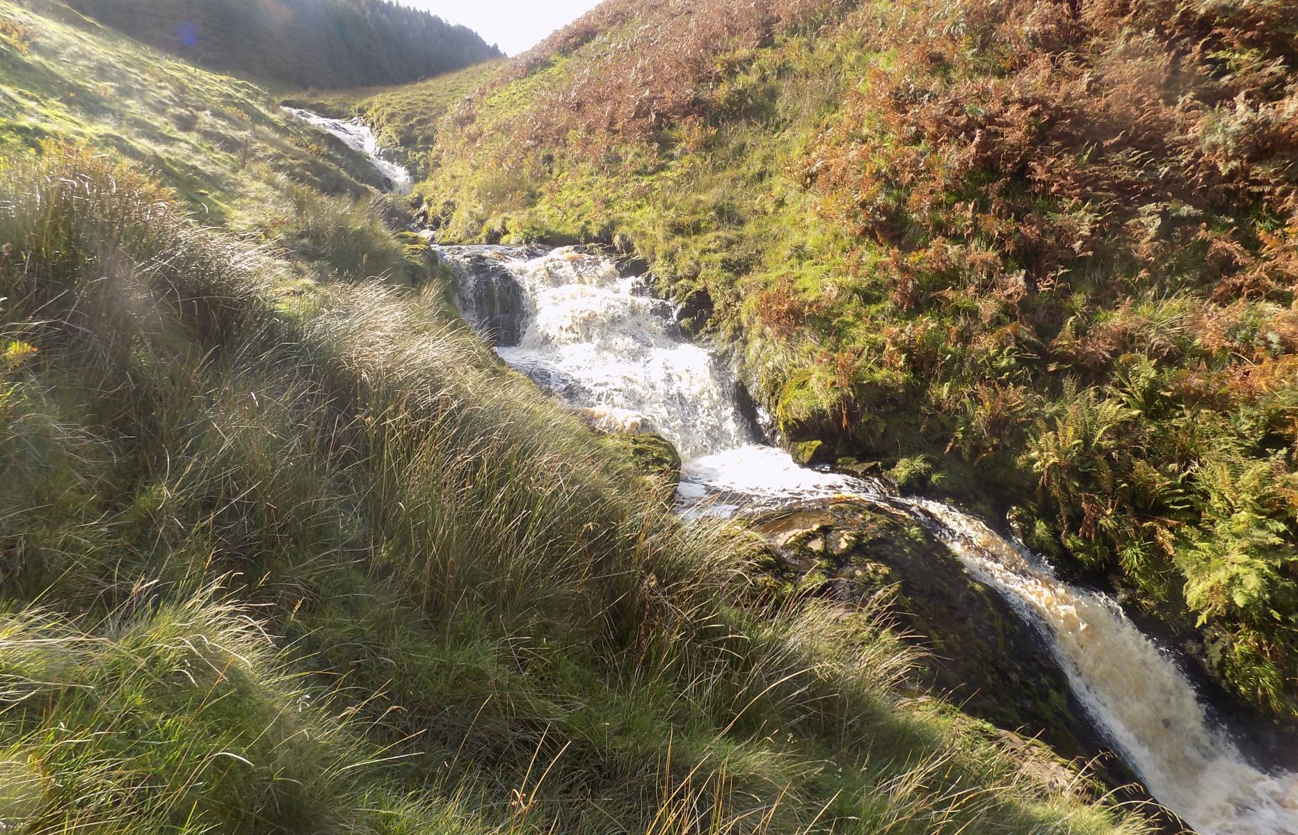 Waterfalls on Gonachan Burn below the Hole of Kailrine in the Campsie Fells