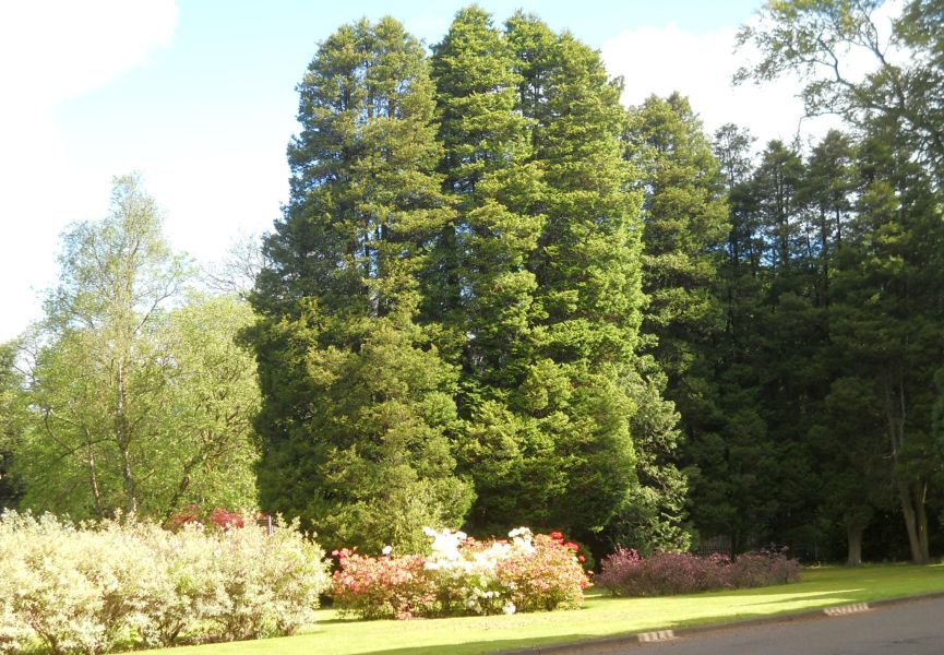 Gardens at Kilmardinny House in Bearsden