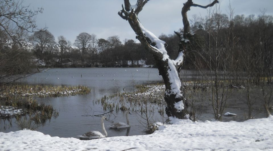 Winter snow scene at Kilmardinny Loch in Bearsden