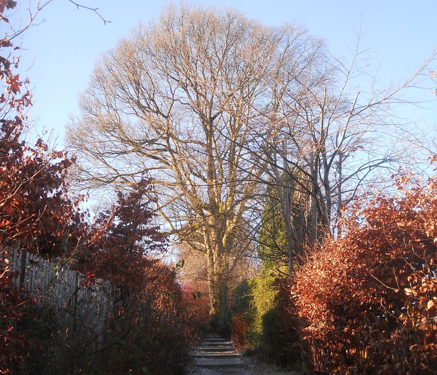 Track to Russel's Field above North Grange Road