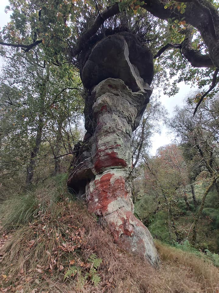 Dugald's Tower above tributary of Boquhan Burn