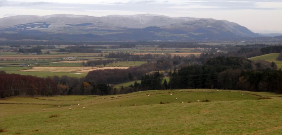 Ochil Hills from above Burnside Woodlands