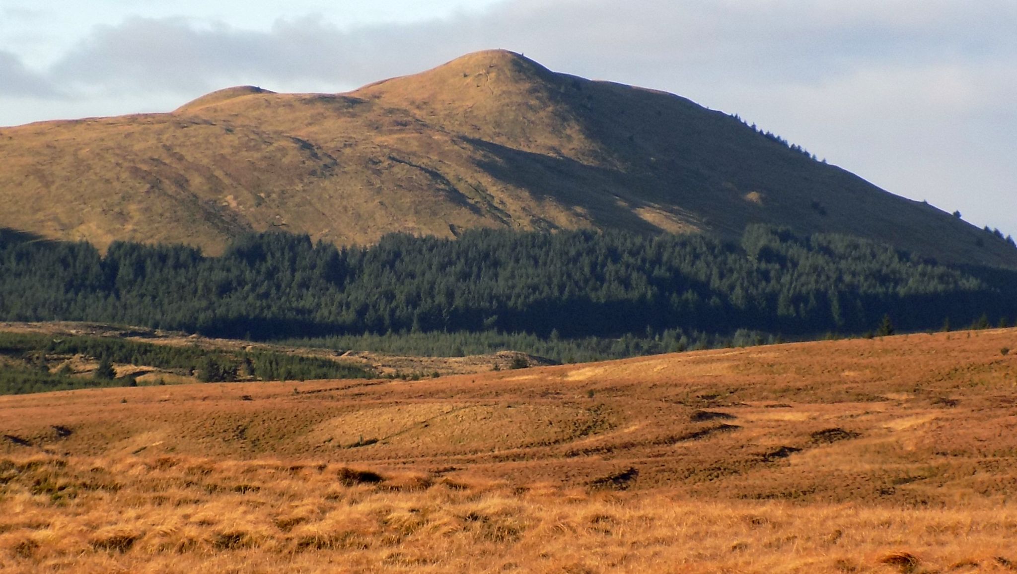 Meikle Bin from Laird's Hill