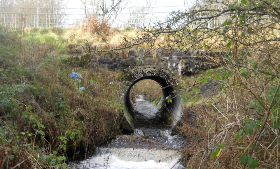 Manse Burn at at the site of the "Bearsden Shark"