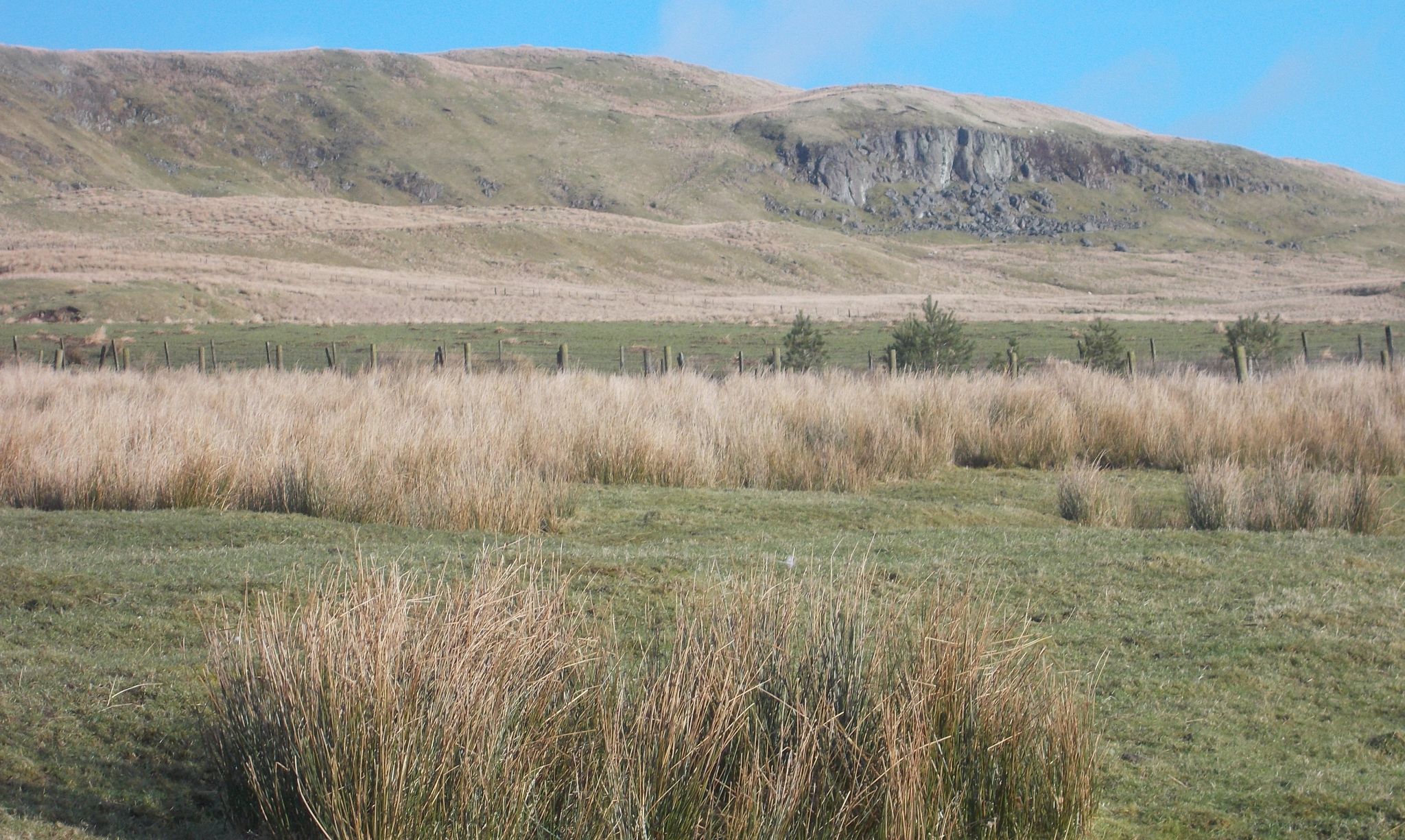 Laird's Hill from Johnnie's Dam Path