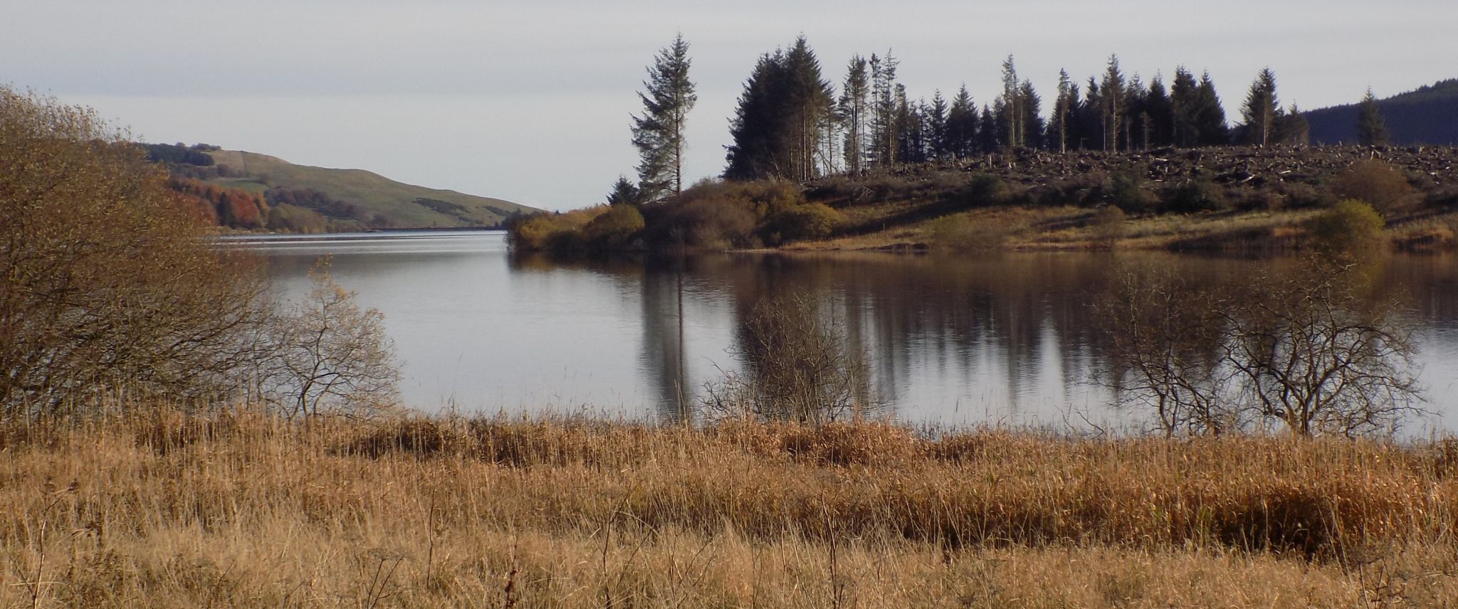 Carron Valley Reservoir