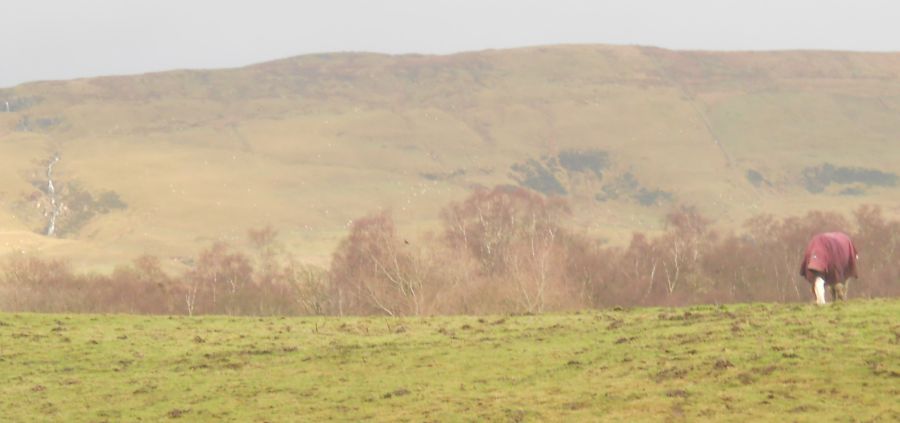 Campsie Fells above Milton of Campsie