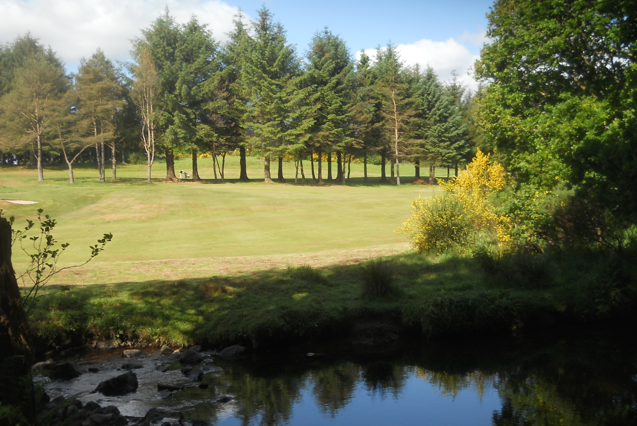 Milngavie Golf Club from Mugdock Country Park