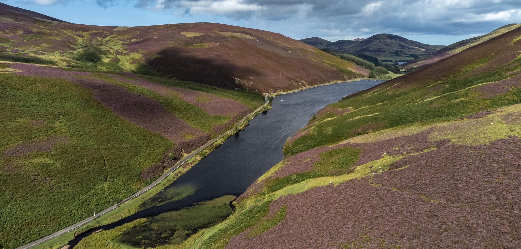 Loganlee Reservoir beneath Gask Hill