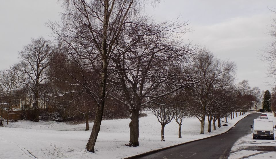 High rise buildings in Glasgow from Windyhill Golf Course