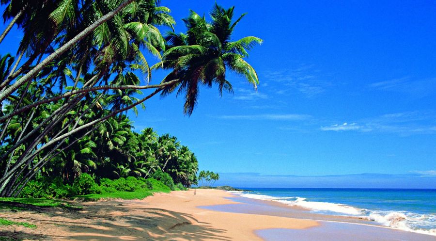 Beach at Hikkaduwa on the west coast of Sri Lanka