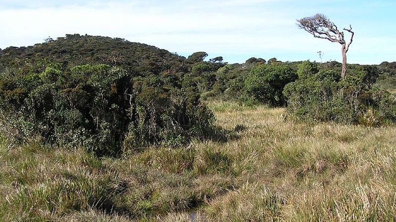 Horton Plains National Park in the Hill Country of Sri Lanka