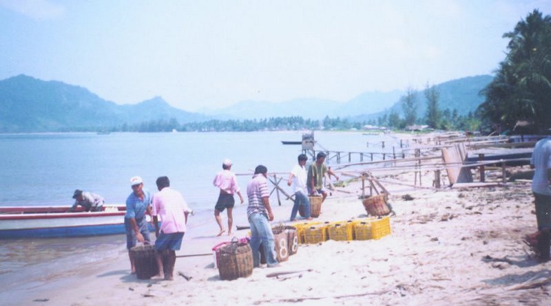 Landing fish on beach near Sibolga on Sumatra