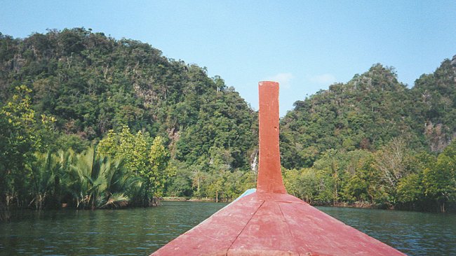 Mangroves in Phang Nga Bay in Southern Thailand