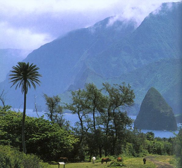 Kalaupapa cliffs